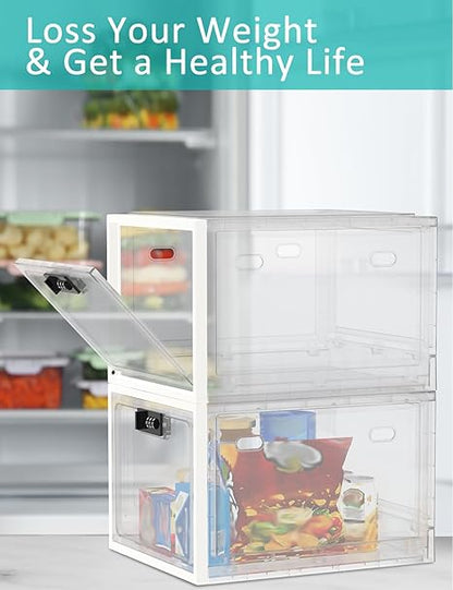 Large Storage Lock Box