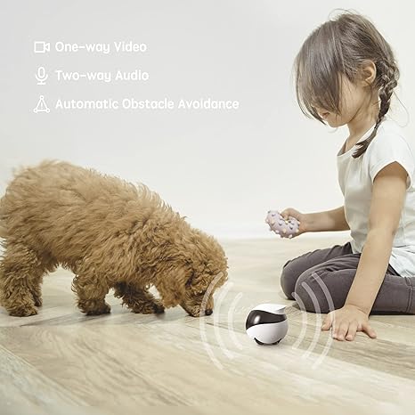 EBO SE wireless night vision camera