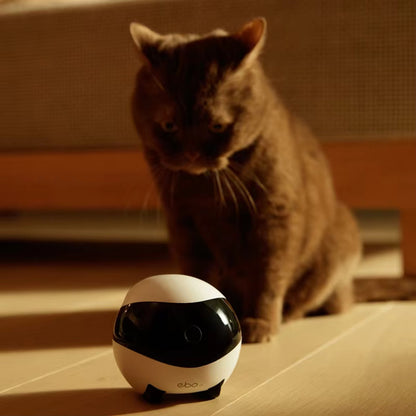 EBO SE wireless night vision camera