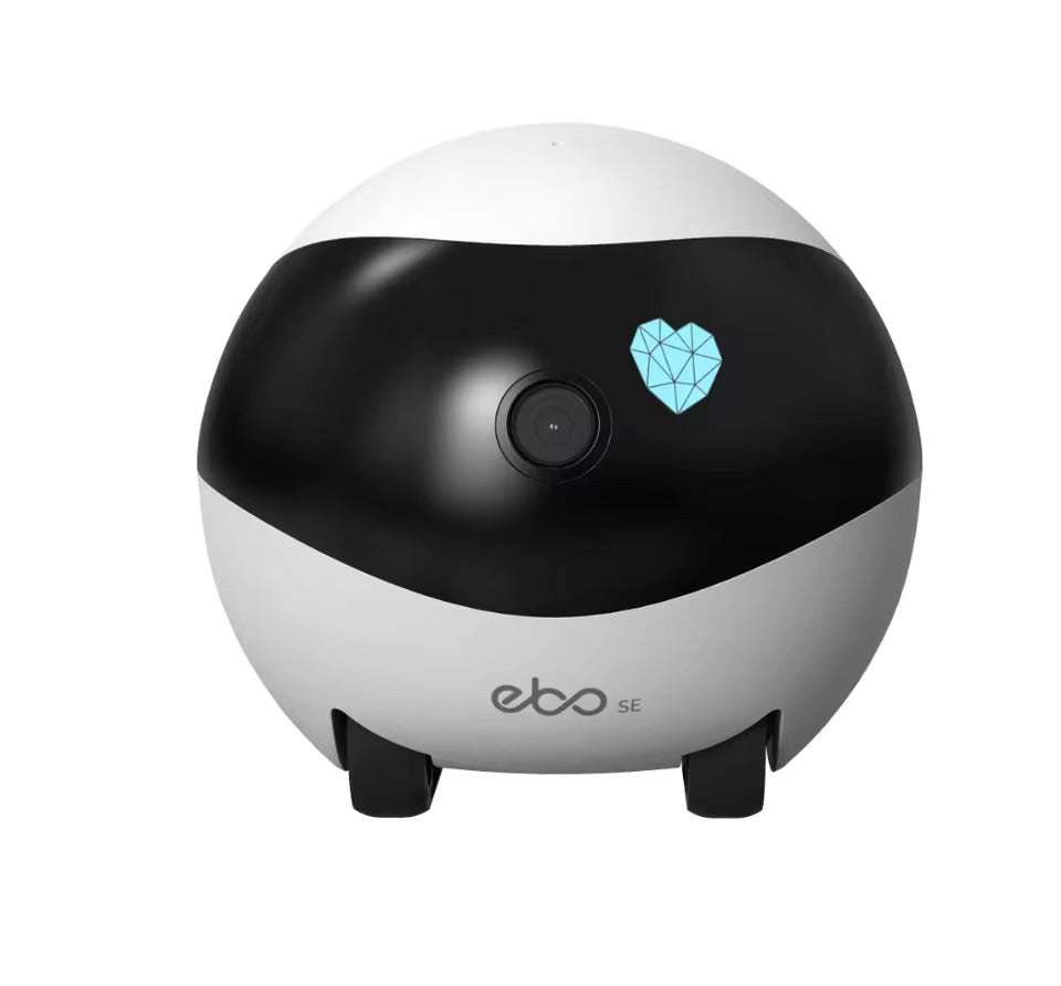 EBO SE wireless night vision camera